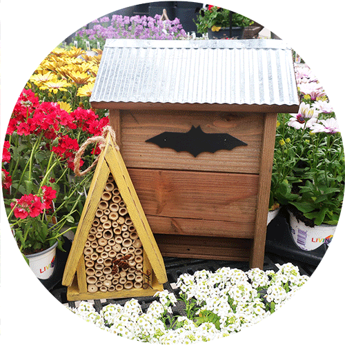 A yellow bee habitat next to a bat habitat in front of red, yellow and purple flowers.